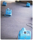 carpet drying and cleaning