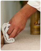 Boston Carpet Cleaning Service