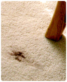 Boston,MA Useful Carpet Cleaning Tips